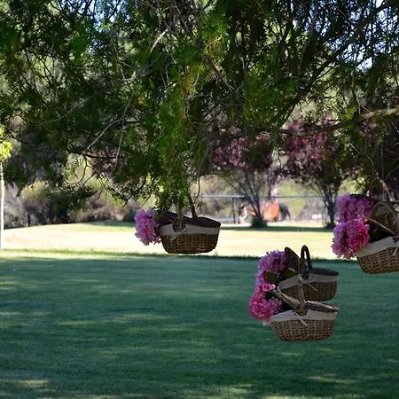 La Real Del Pinar Hotel