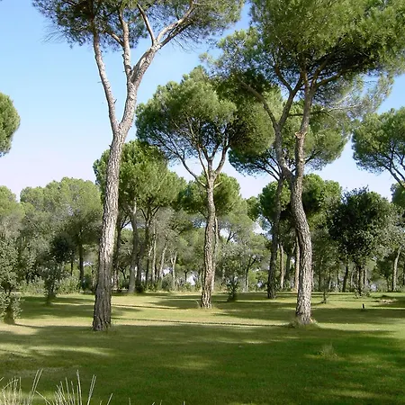 La Real Del Pinar Hotel 3*