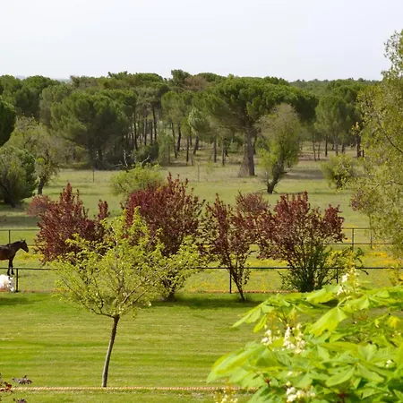 Hotel La Real Del Pinar 3*