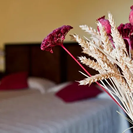 Hotel Real Del Pinar 3*