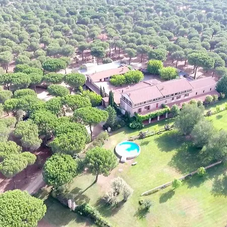 Hotel Real Del Pinar 3*