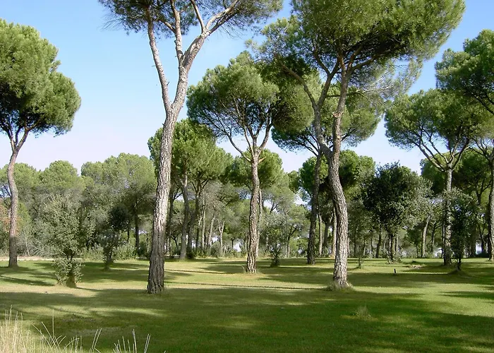 La Real Del Pinar Hotel 3*