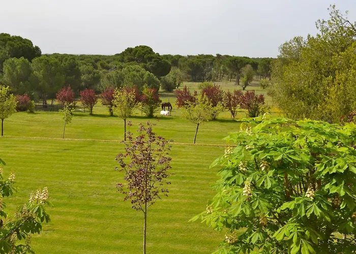 Hotel La Real Del Pinar Pozal De Gallinas