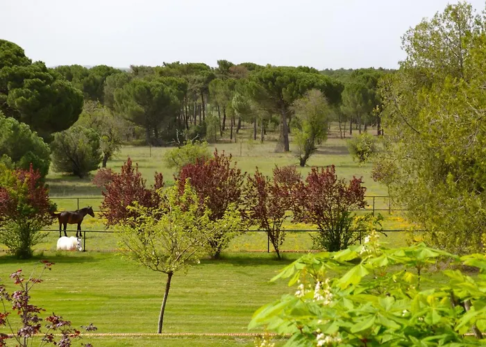 Hotel La Real Del Pinar 3*