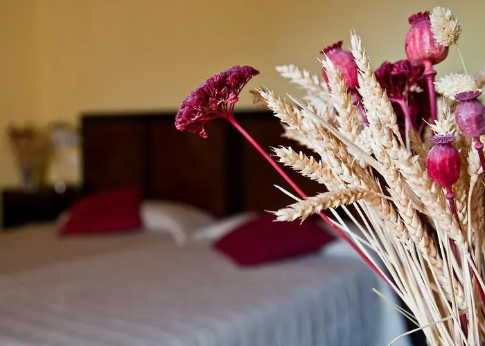 Hotel La Real Del Pinar 3*